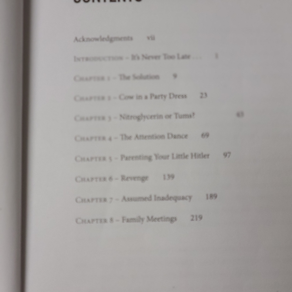 Parenting Book - Picture 4 of 5
